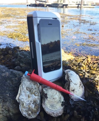 Intertidal PCR on the coast of Maine. Picture courtesy of Dr. Peter Countway